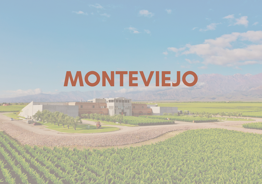 Monteviejo Vineyard, buy Monteviejo in Bon Vin Singapore