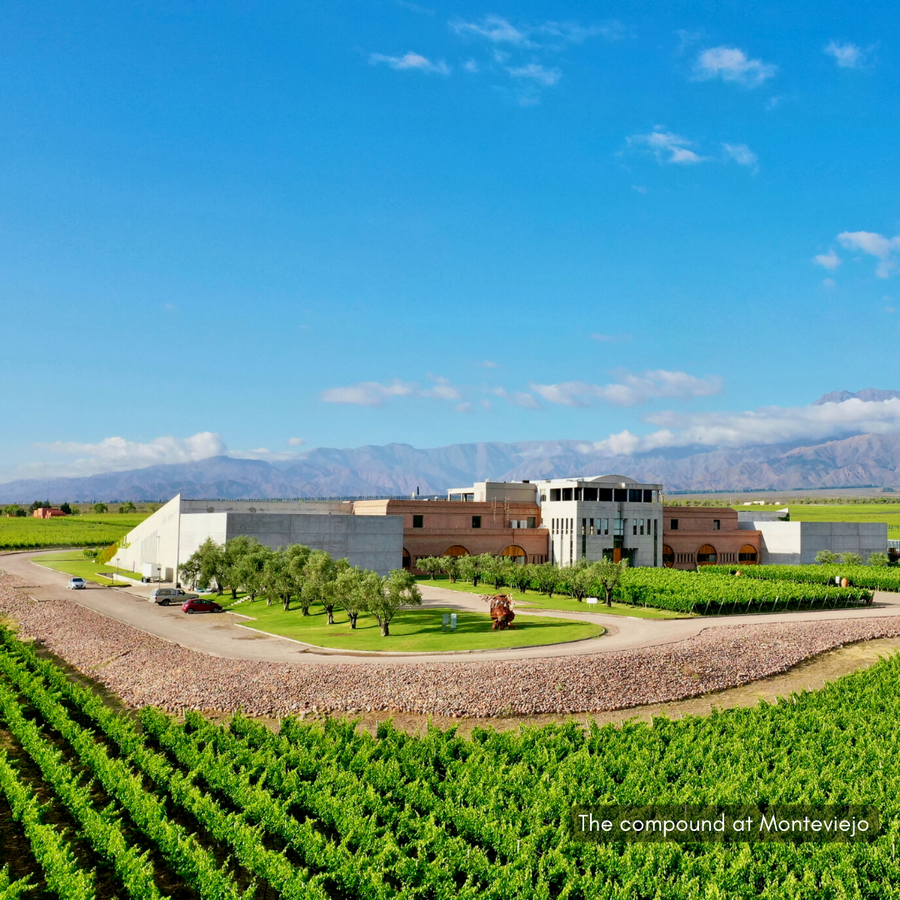 Monteviejo Lindaflor Chardonnay 2020 (ex-ch)